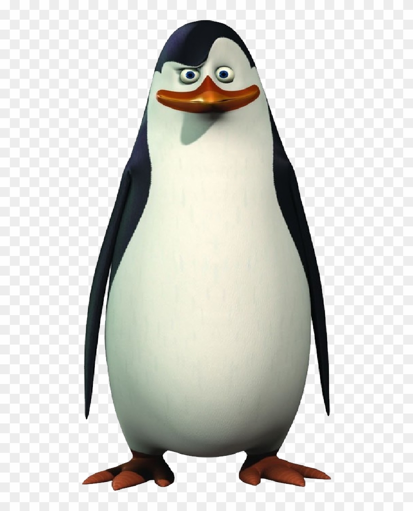 Detail Download Madagascar Penguins Nomer 19