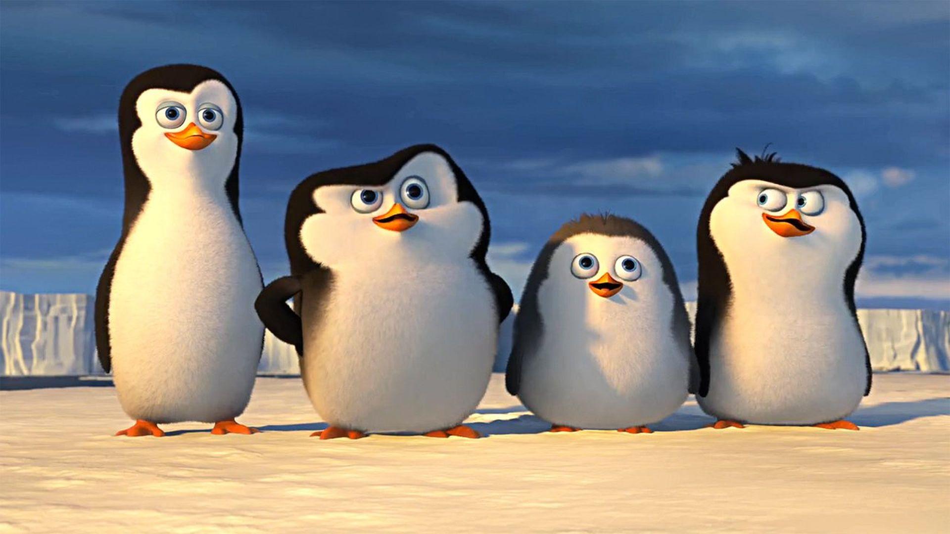 Detail Download Madagascar Penguins Nomer 33