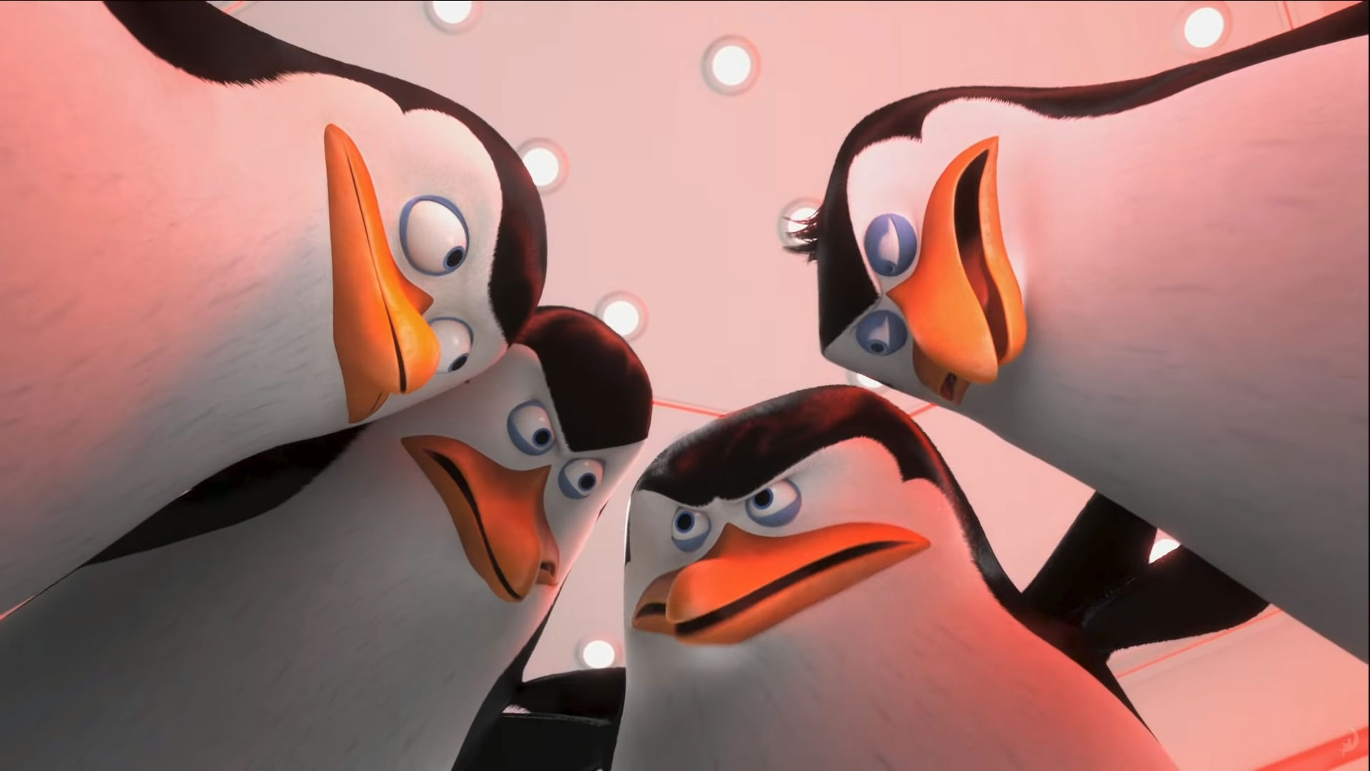 Detail Download Madagascar Penguins Nomer 5