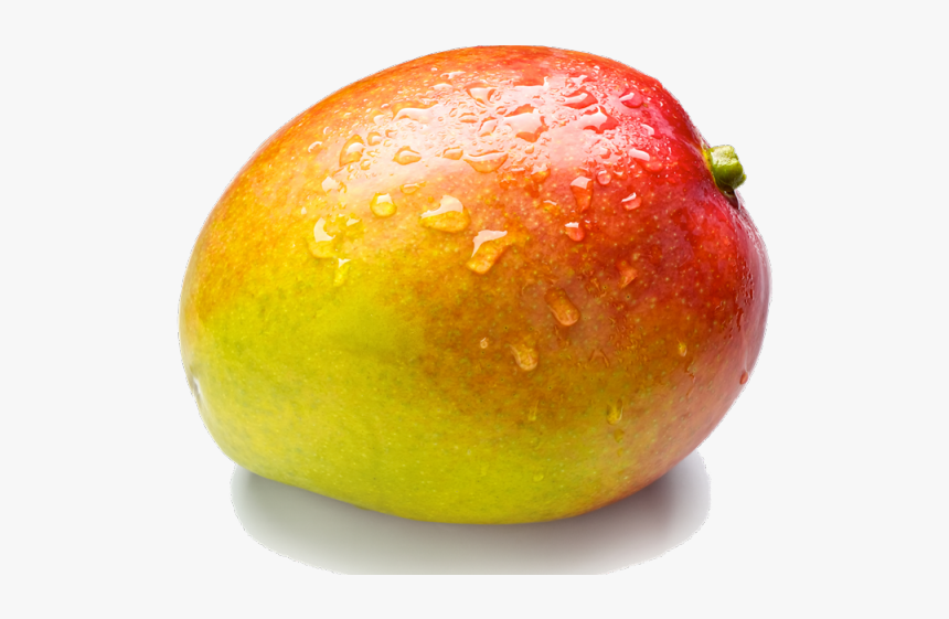 Download Download Mango Nomer 11