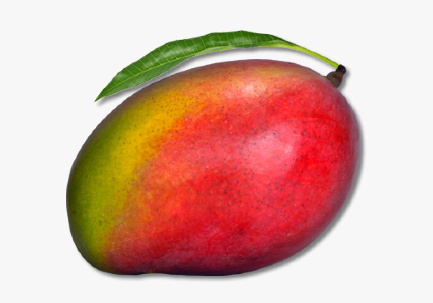 Detail Download Mango Nomer 4