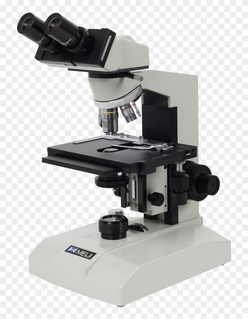 Detail Download Microscope Nomer 13