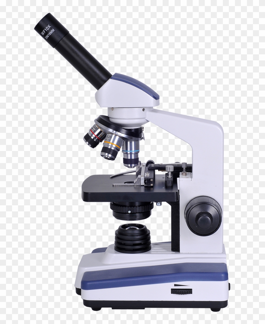 Detail Download Microscope Nomer 31
