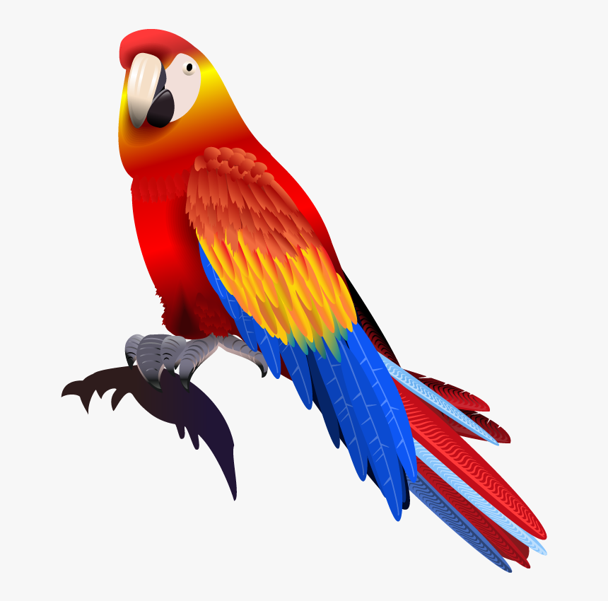 Detail Download Parrot Nomer 28