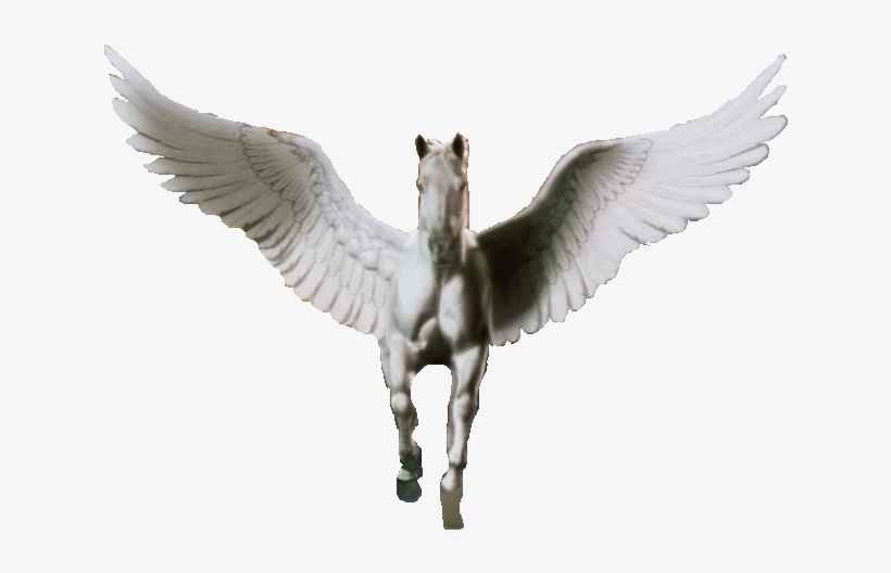 Detail Download Pegasus Nomer 15
