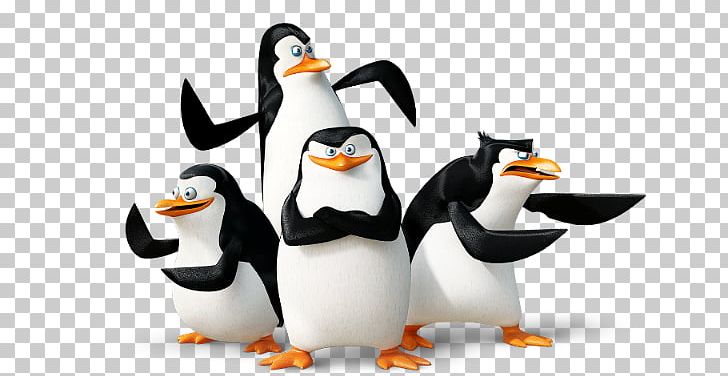 Detail Download Penguins Of Madagascar Nomer 39