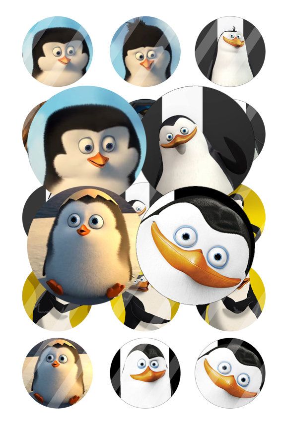 Detail Download Penguins Of Madagascar Nomer 42