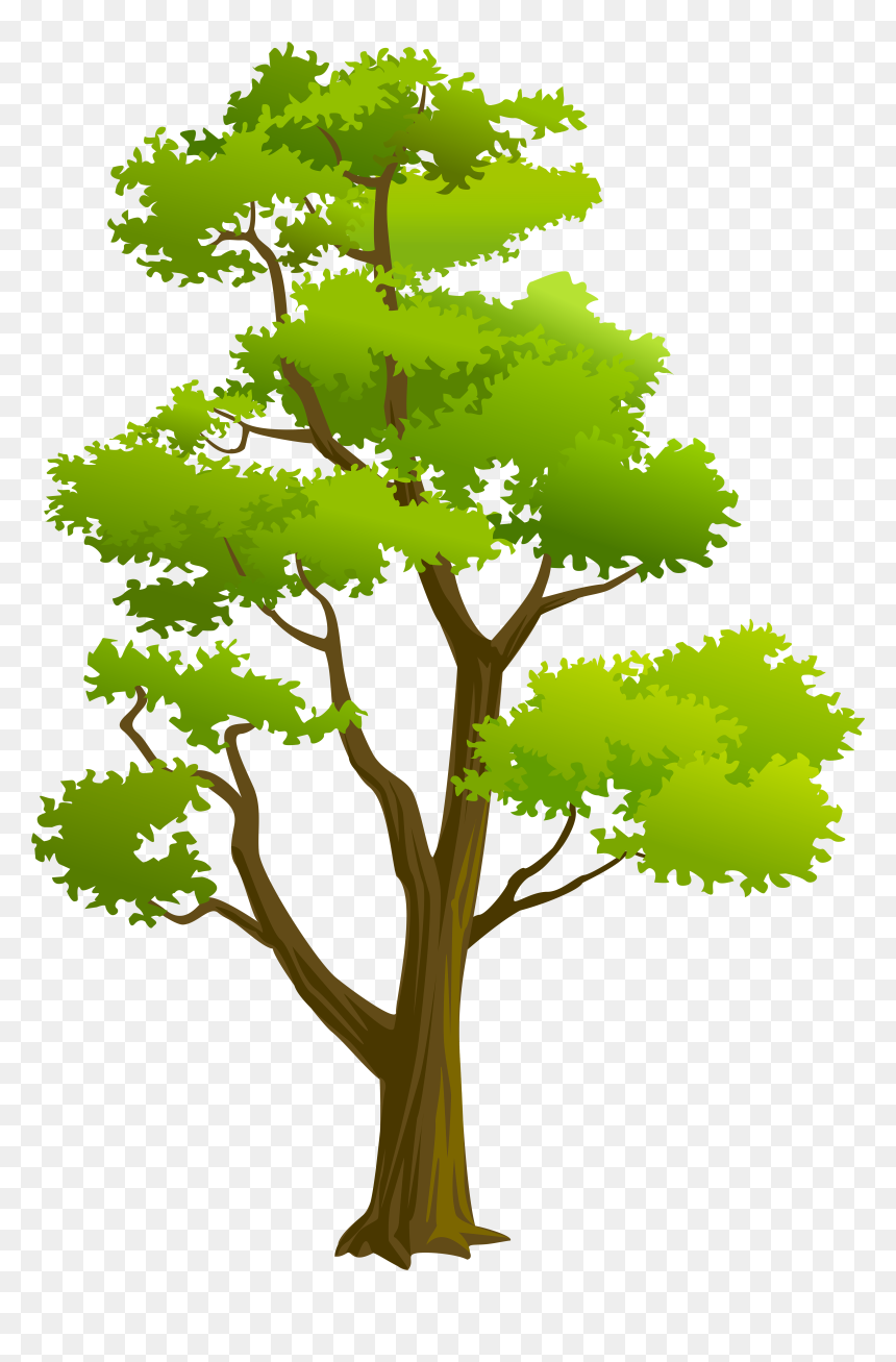 Detail Download Png Tree Nomer 36