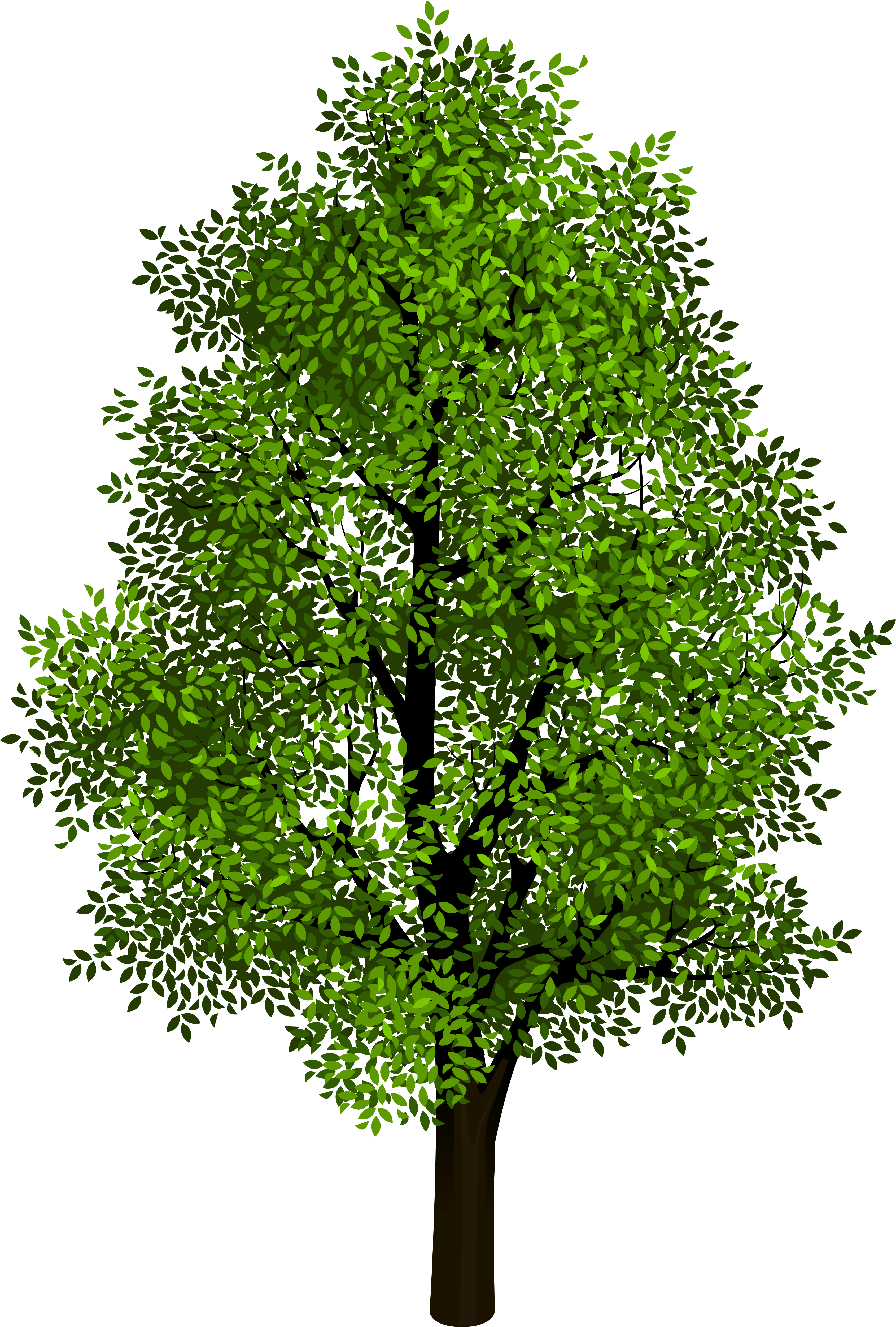 Detail Download Png Tree Nomer 47