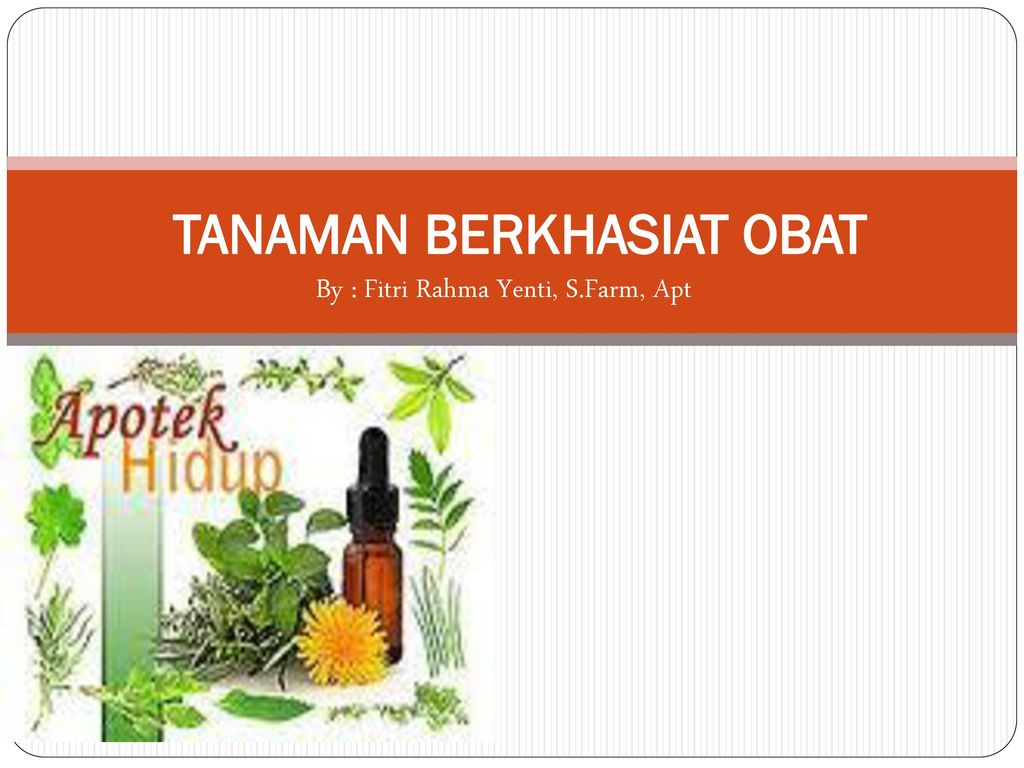 Download Ppt Tanaman Obat - KibrisPDR