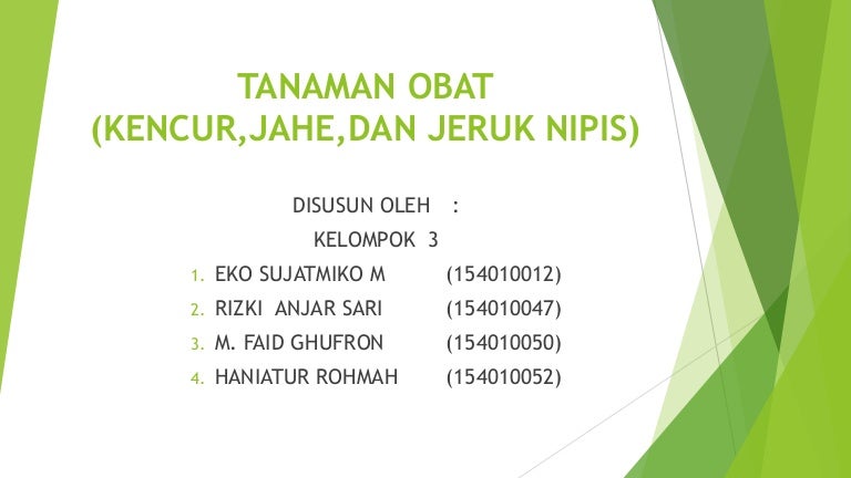 Detail Download Ppt Tanaman Obat Nomer 11