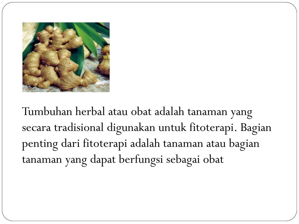 Detail Download Ppt Tanaman Obat Nomer 13