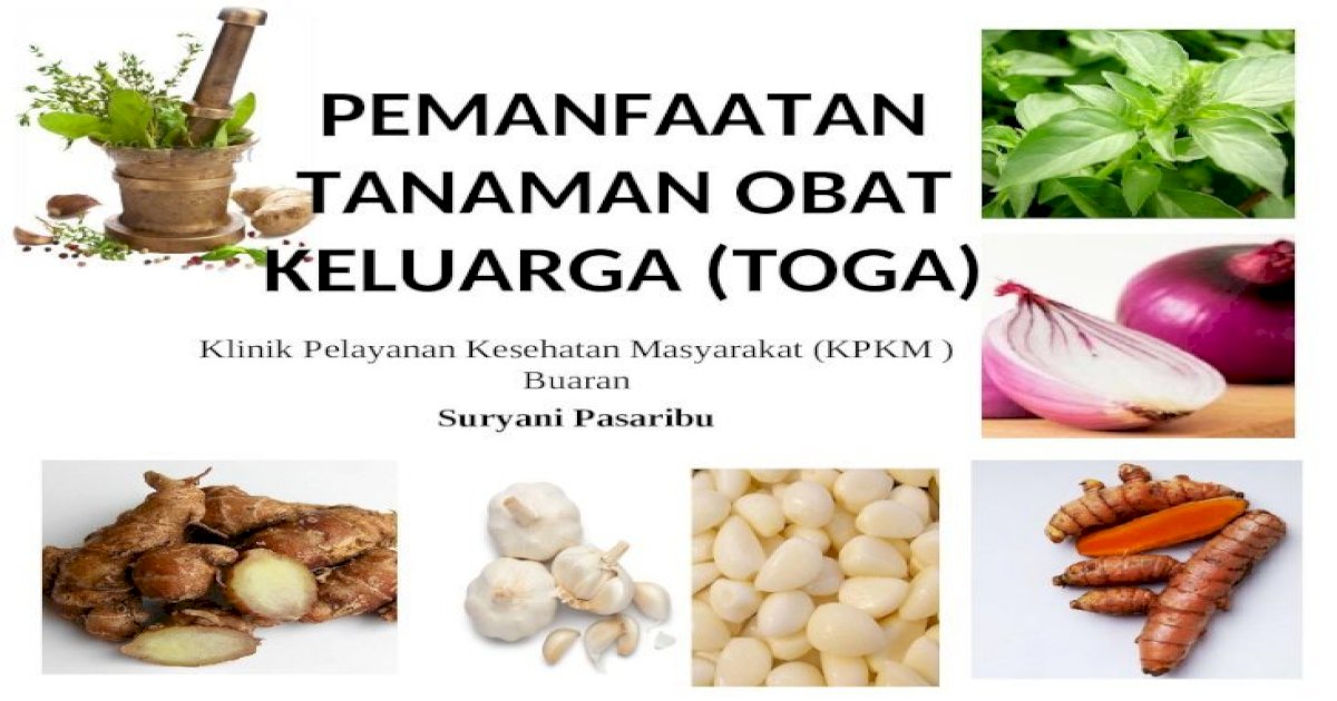 Detail Download Ppt Tanaman Obat Nomer 18