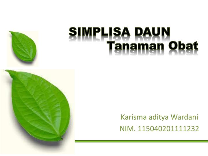 Detail Download Ppt Tanaman Obat Nomer 4