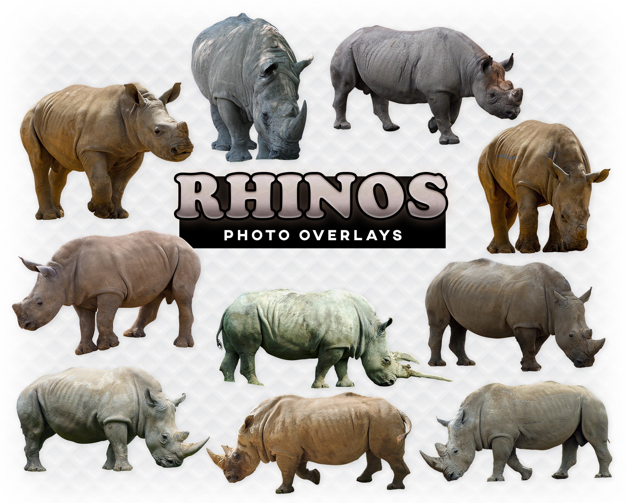 Detail Download Rhinoceros Nomer 43