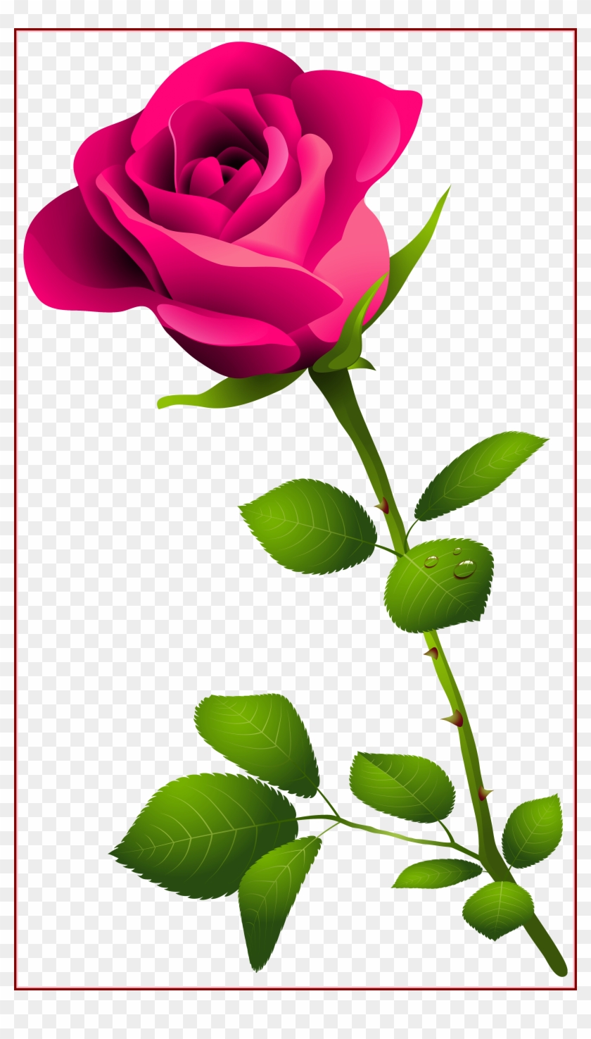 Detail Download Rose Flower Nomer 17