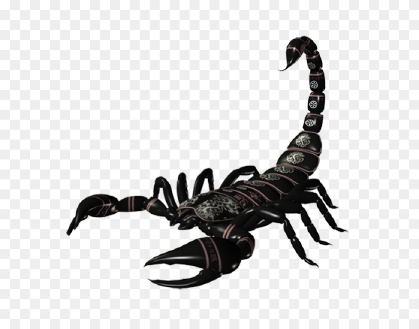 Detail Download Scorpion Nomer 11