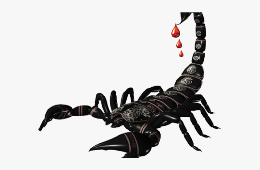 Detail Download Scorpion Nomer 22