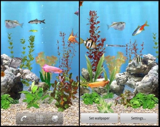 Detail Download Screensaver Aquarium Bergerak Nomer 27