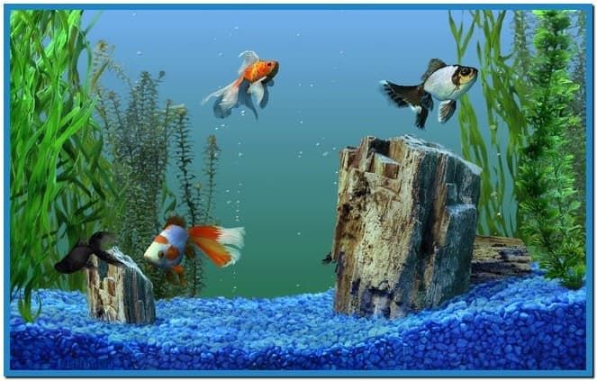 Detail Download Screensaver Aquarium Bergerak Nomer 37