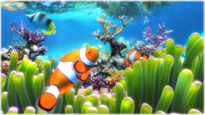 Detail Download Screensaver Aquarium Bergerak Nomer 6