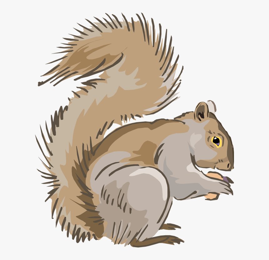 Detail Download Squirrel Nomer 50