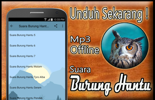 Detail Download Suara Burung Hantu Seram Nomer 47