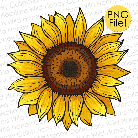 Detail Download Sunflower Nomer 50