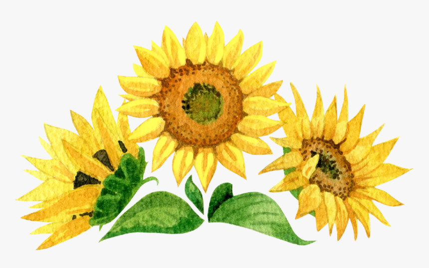 Detail Download Sunflower Nomer 51