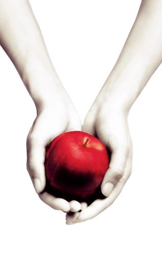 Detail Edward Cullen Eclipse Poster Nomer 5