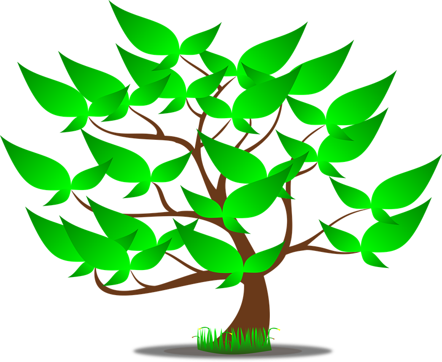 Detail Grafik Baum Nomer 9