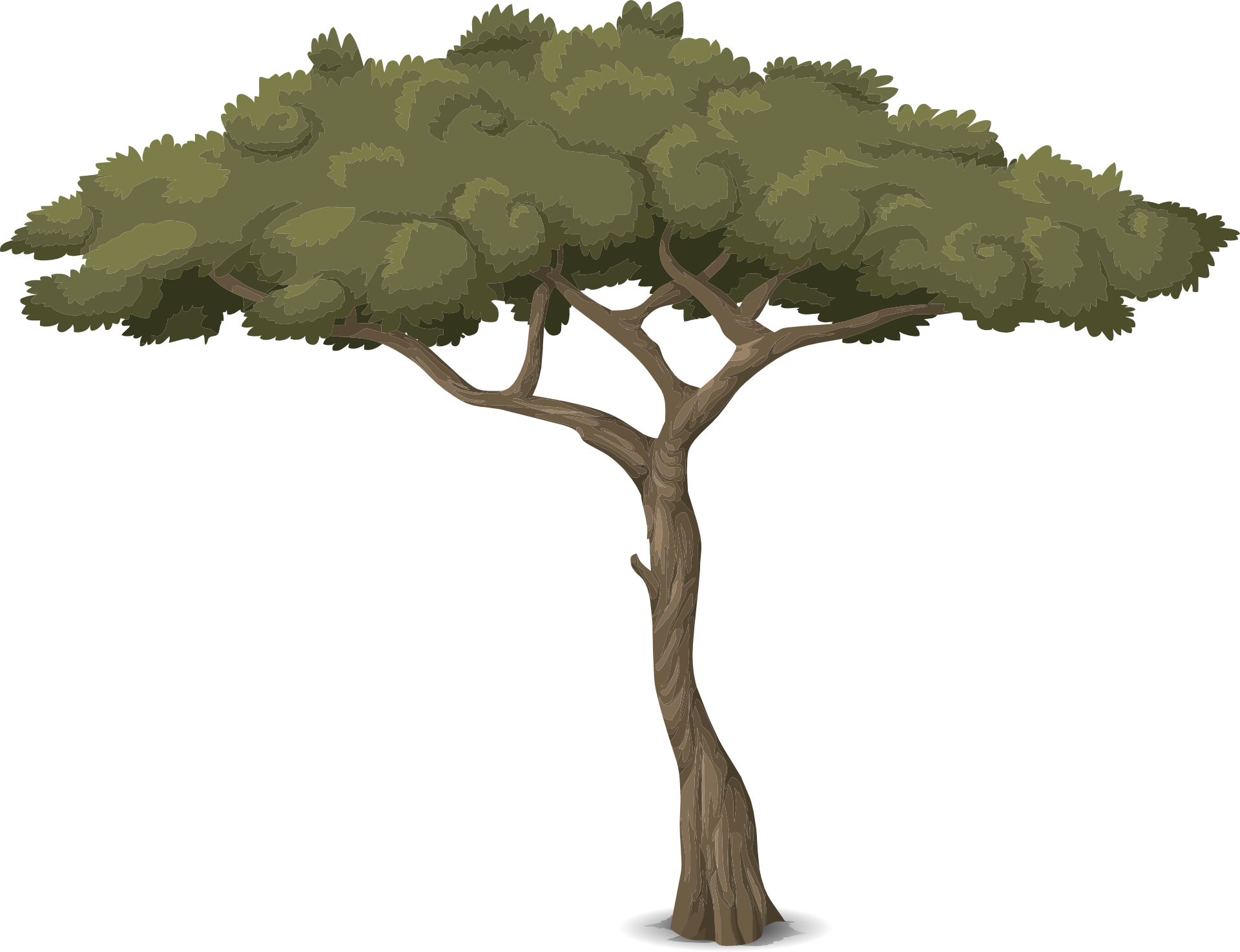Detail Grafik Baum Nomer 4