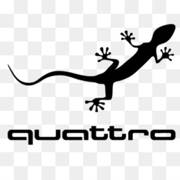 Detail Quattro Echse Nomer 15