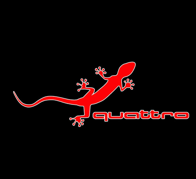 Detail Quattro Echse Nomer 22