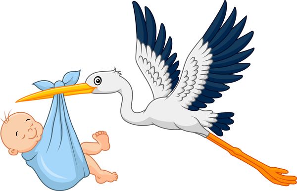 Detail Storch Baby Clipart Nomer 6