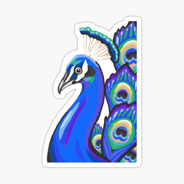 Detail Wie Malt Man Einen Pfau Nomer 14