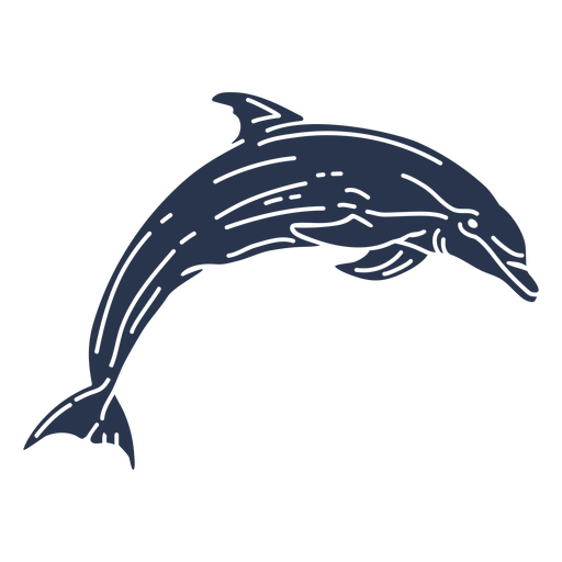 Detail Delphin Zeichnung Nomer 13