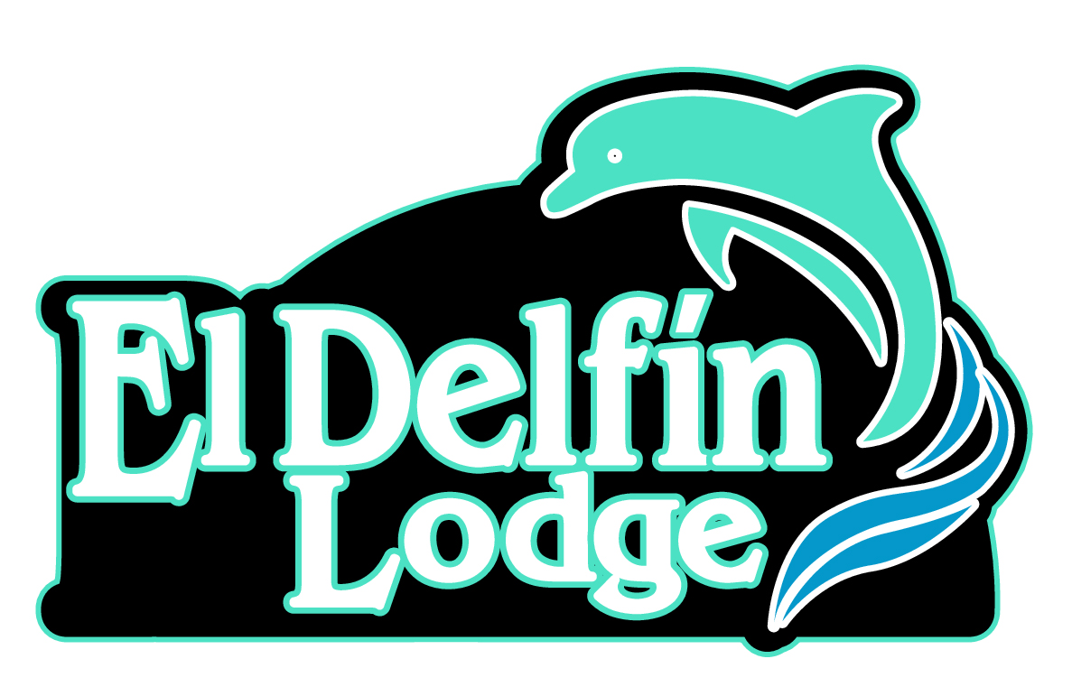 Detail Delphin Zeichnung Nomer 15