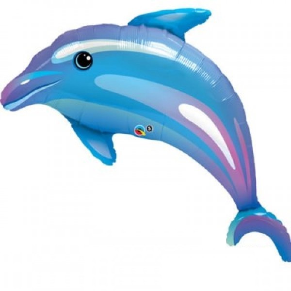 Detail Delphin Zeichnung Nomer 21