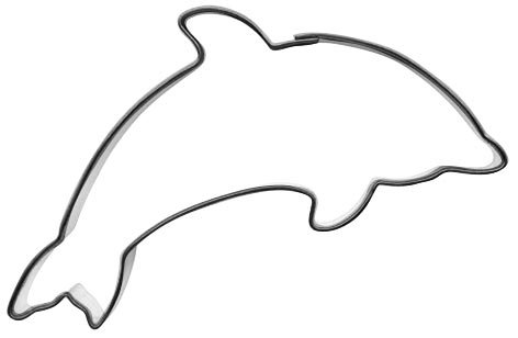 Detail Delphin Zeichnung Nomer 23