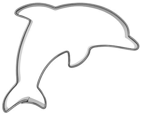 Detail Delphin Zeichnung Nomer 4
