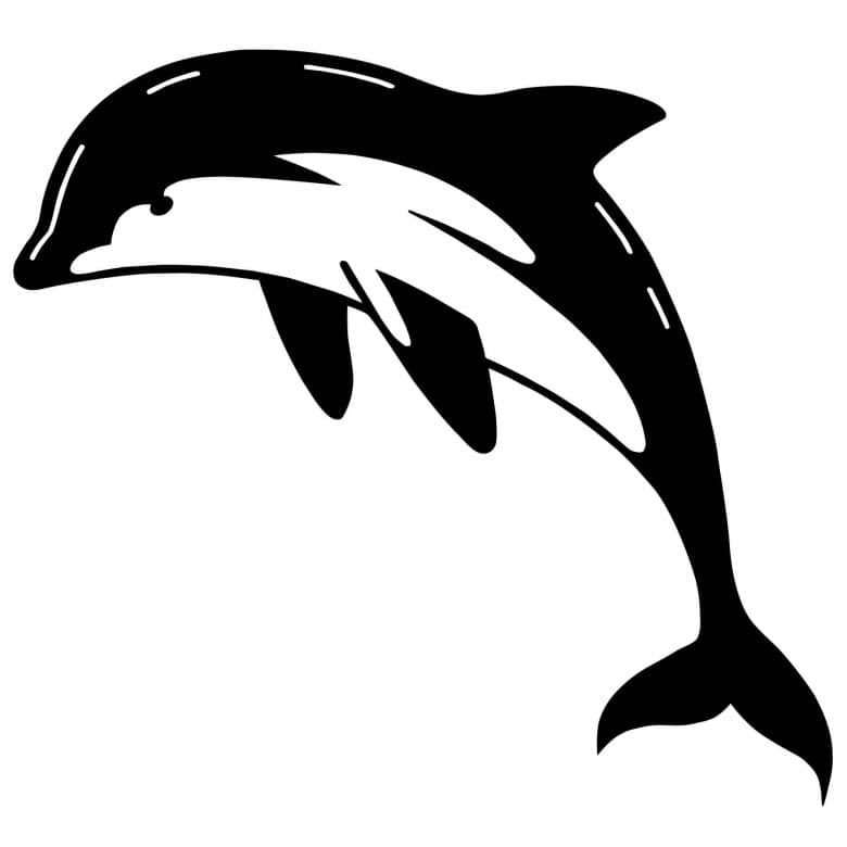 Detail Delphin Zeichnung Nomer 5