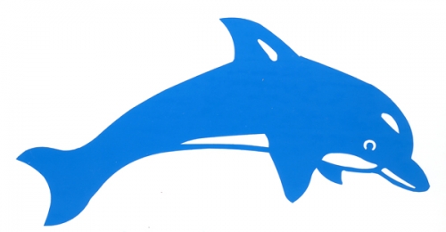 Detail Delphin Zeichnung Nomer 7