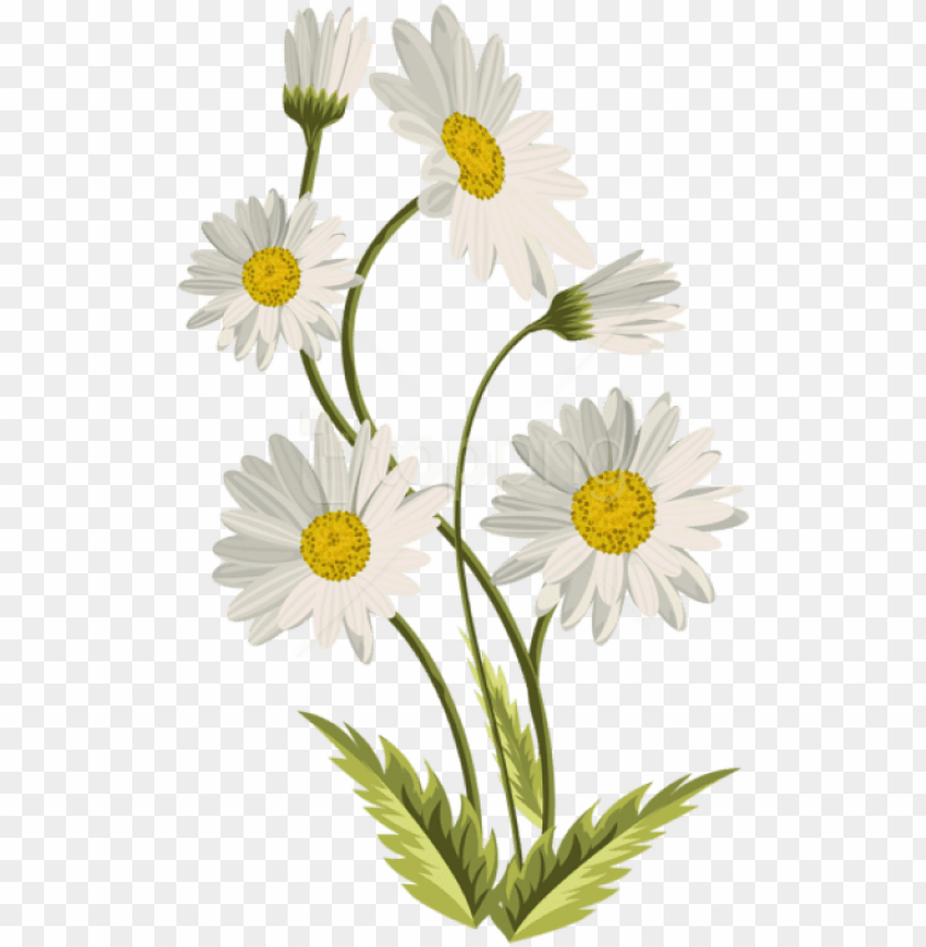 Detail Download Transparent Png Images Nomer 9