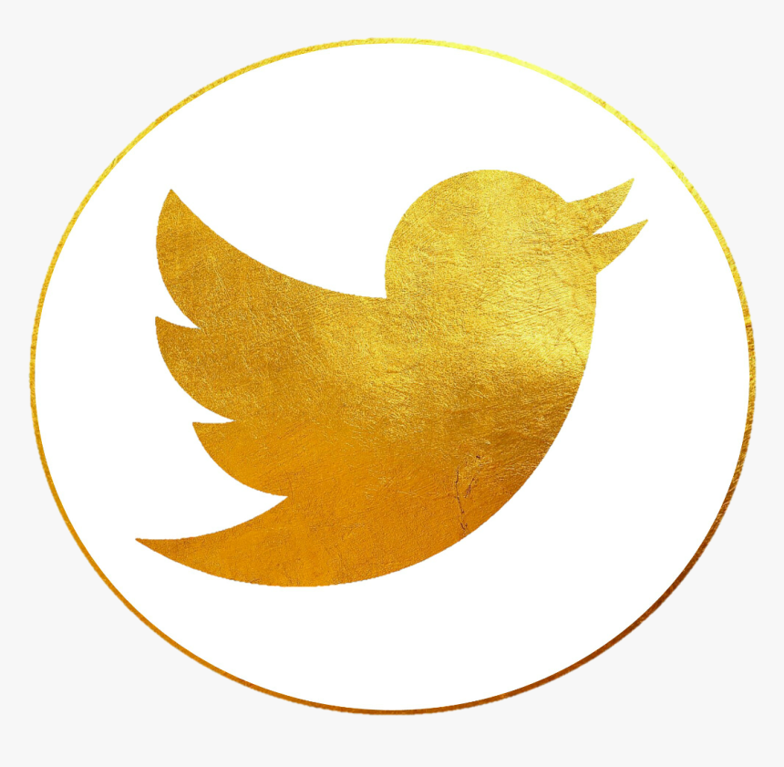 Detail Download Twitter Logo Png Nomer 43