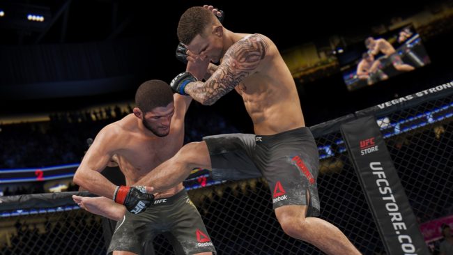 Detail Download Ufc Nomer 13