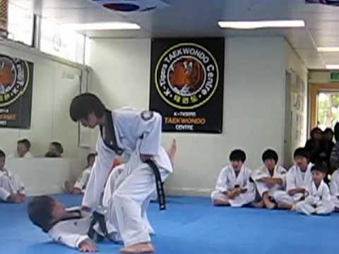 Detail Download Video K Tigers Taekwondo Nomer 12