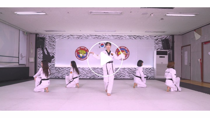 Detail Download Video K Tigers Taekwondo Nomer 30