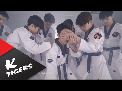 Detail Download Video K Tigers Taekwondo Nomer 39