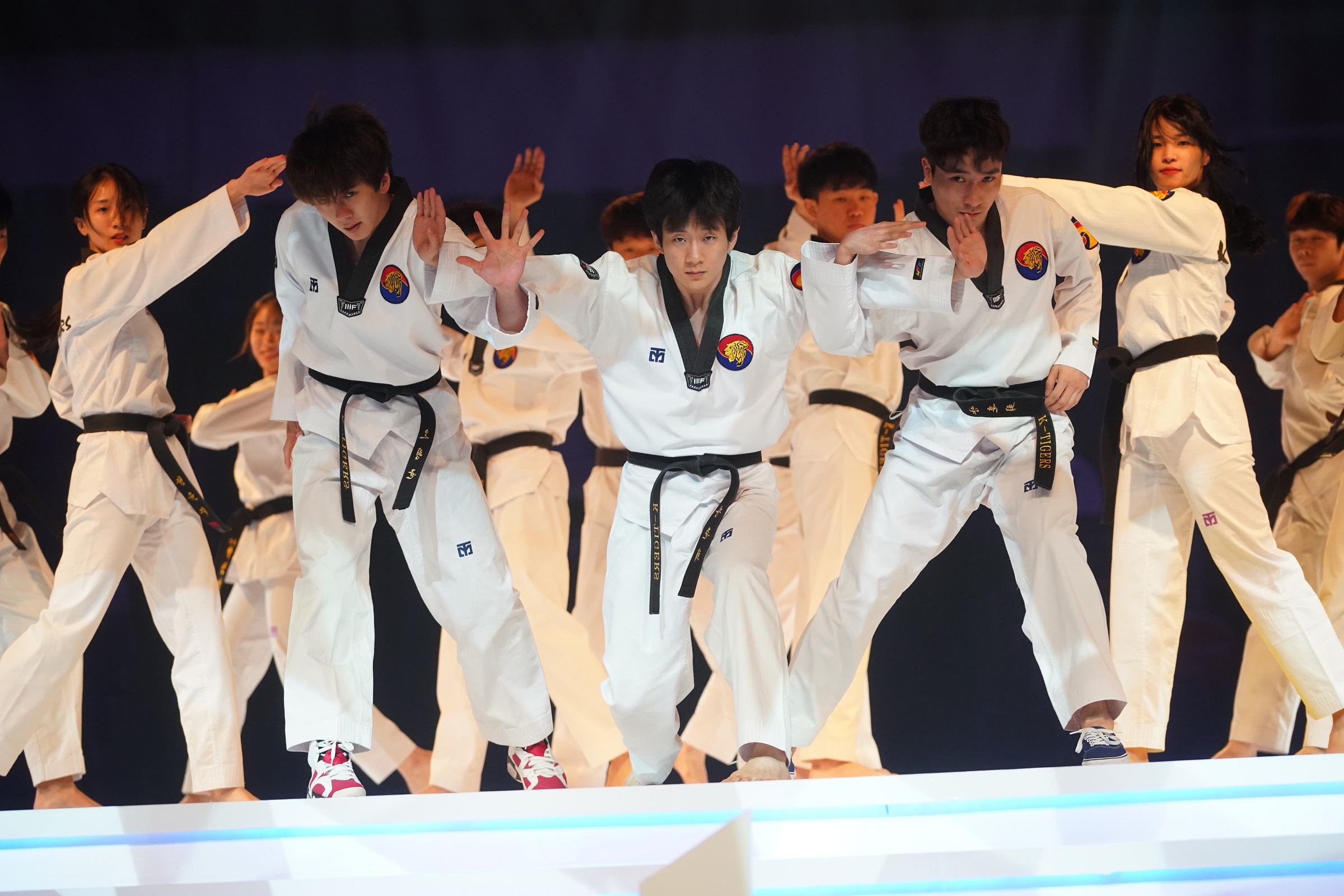 Detail Download Video K Tigers Taekwondo Nomer 47